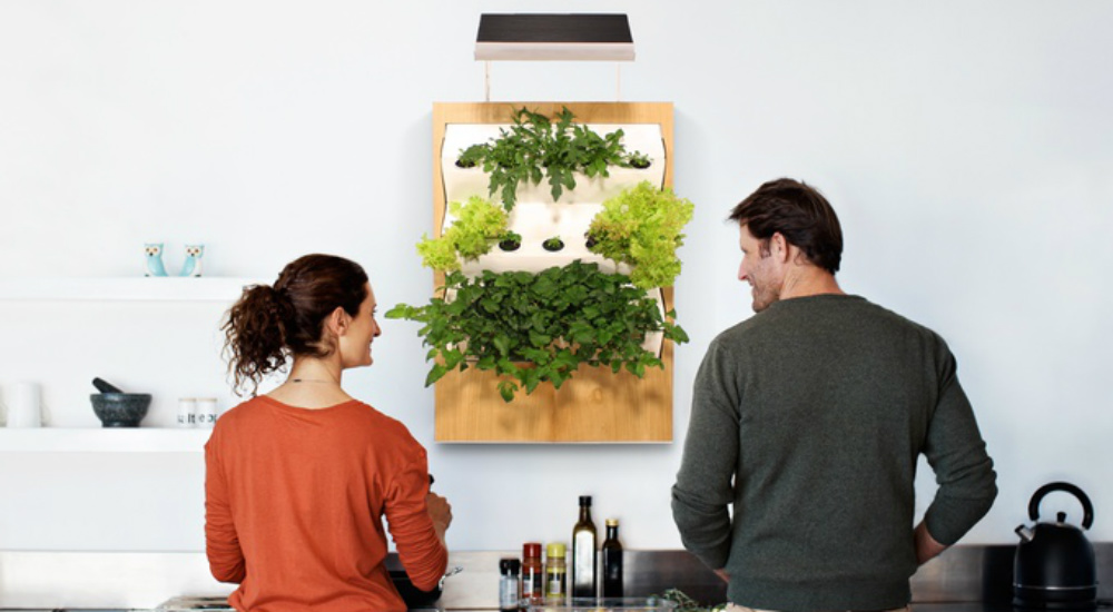 vertical-garden-herbert-05.jpg
