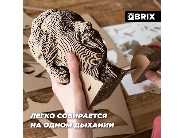 3D-конструктор из картона QBRIX Эйнштейн