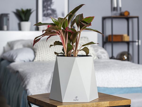 Кашпо myPot
