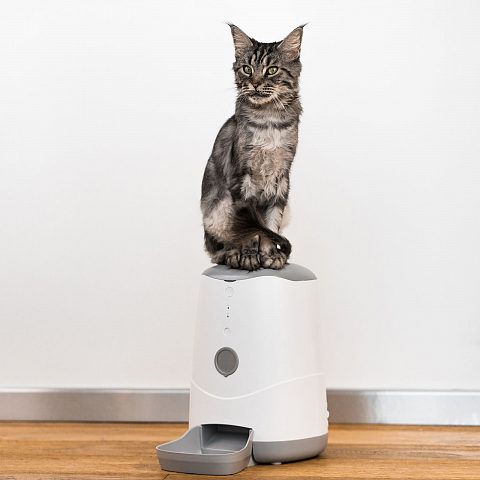 Умная автоматическая кормушка с Wi-Fi для кошек и собак Petoneer Nutri Feeder