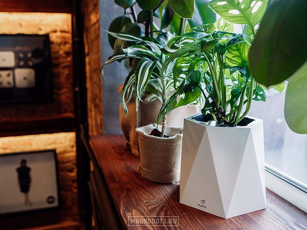Кашпо myPot