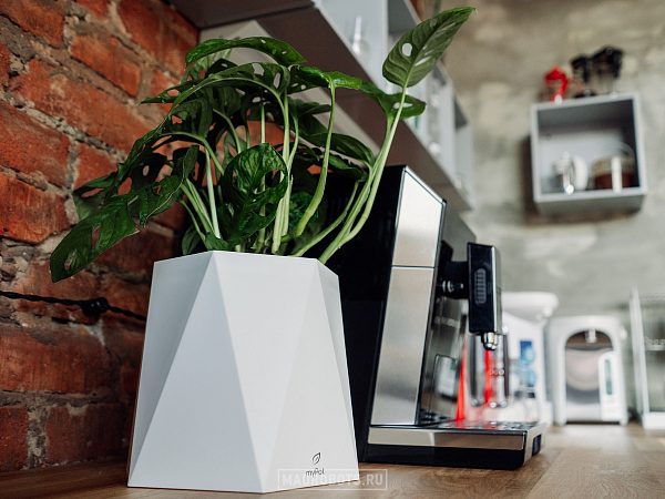 Кашпо myPot