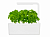 Умный сад Click and Grow Базилик