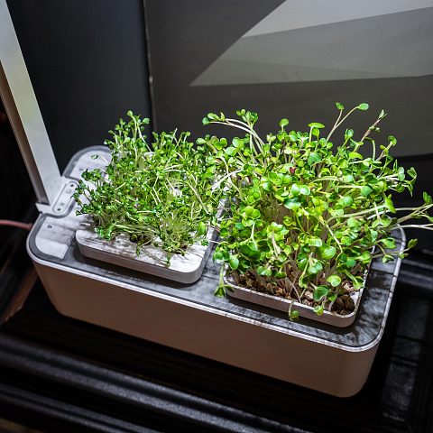 Умный сад с подсветкой iGarden LED
