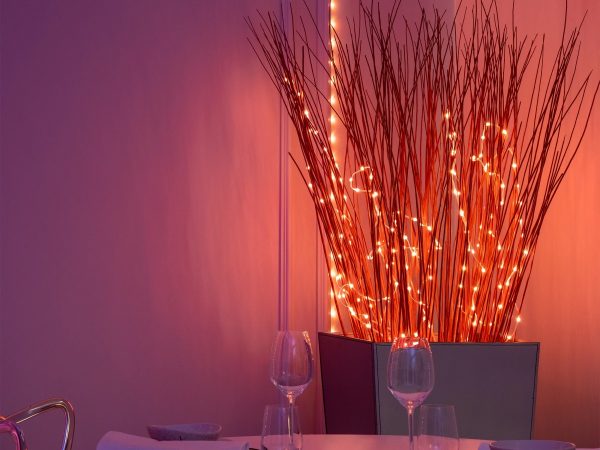 Программируемая светодиодная лента Twinkly Dots - 200 шт. RGB + BT + Wi-Fi 10 м  (прозрачный провод)