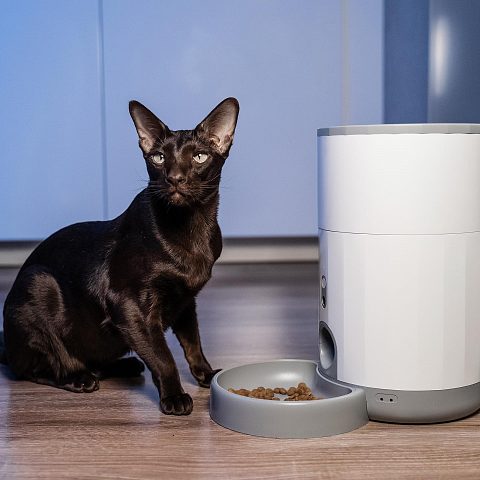 Умная автоматическая кормушка с Wi-Fi и камерой для кошек и собак Petoneer Nutri Vision Mini Feeder
